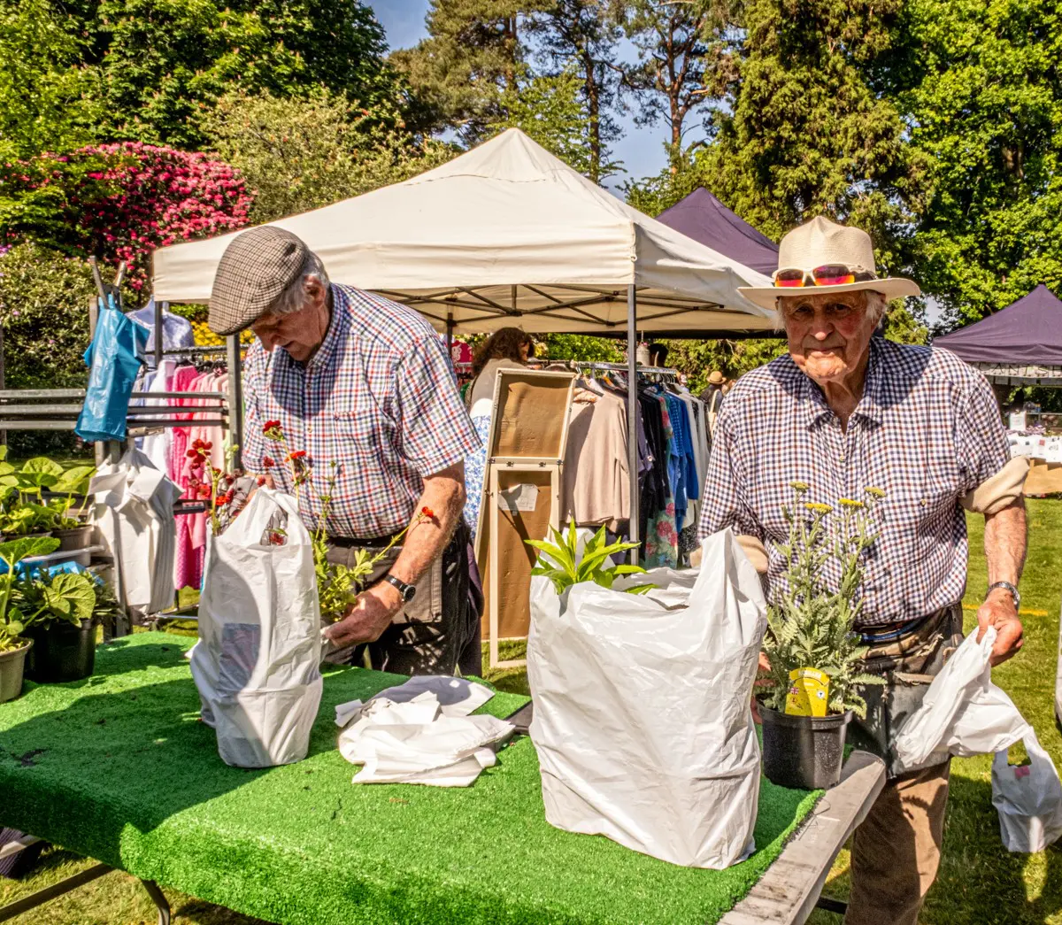 bishops-waltham-garden-fair-for-js