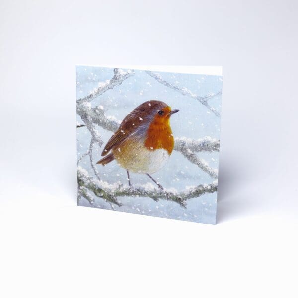 Christmas Cards - Robin