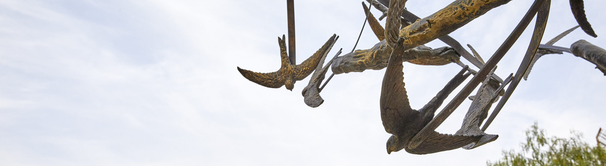 Philanthropy & Major Giving